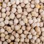 Turning up the heat on chickpea yield