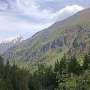 Forest productivity, not rapid warming, shapes Northern Eurasia's carbon sink