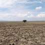 Climate change: Laws and policies must change to prevent future statelessness