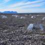 Climate warming causes bleaching in key Arctic lichen, study finds