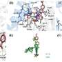 Compound with the potential to treat drug-resistant HIV identified