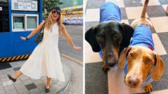 How to cope in a heatwave - according to you