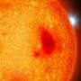 Dead stars in our cosmic backyard: Astronomers spot four white dwarfs hiding under our noses