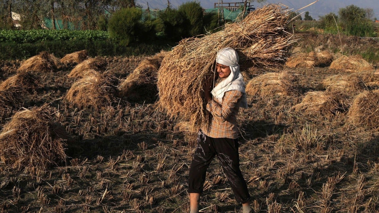 Risk of unrest in Asia as Iran war, El Nino threaten food supplies