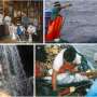 Discarded plastic bottles help save dolphins from fishing nets