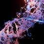 Largest catalog yet of how human cells read DNA shows how chemical marks alter genetic instructions