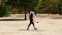 Amber heat health alerts in place for almost all of England as next heatwave hits