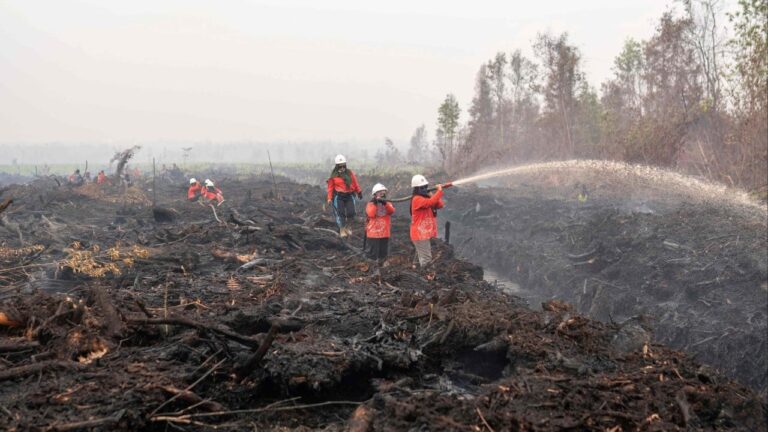 Indonesians turn to eco-art as haze sparks anger and diplomatic tension