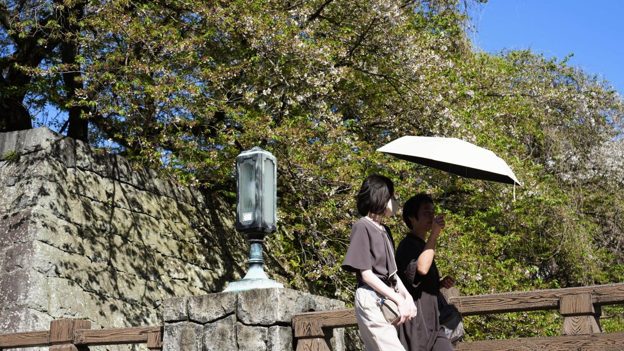 Japan warned of ‘hellish summer’ as energy fears mount