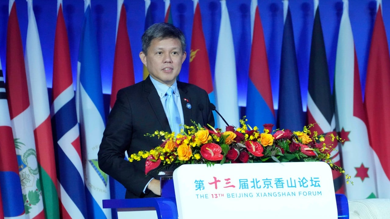 Singapore minister Chan Chun Sing’s Mandarin diplomacy strikes China chord