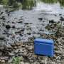 Fishing for DNA: How a cup of river water can reveal secrets about human health, pollution and biodiversity