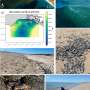 Flooding rains, ocean gains: How a huge Murray flood gave the sea a feast