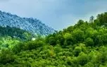 جنگل هیرکانی در آستانه پاییز تماشایی شد + فیلم