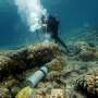Galápagos corals show El Niño events are more extreme now than in past 1,000 years