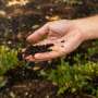 Geomimicry offers a new framework for engineering sustainable materials