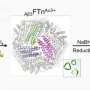 Gold nanoclusters could help break down Alzheimer's amyloid plaques