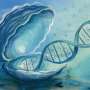 AI helps uncover oyster DNA changes linked to climate resilience