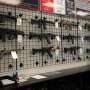 In Oregon, voters' passage of gun control measure led to more firearms in the state