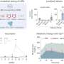 Gut mRNA tech supercharges vaccine and GLP-1 delivery