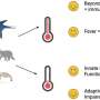 Heat and cold alter how animals fight disease. As the climate changes, this knowledge may be vital