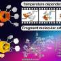 Hidden molecular code in tosyl groups directs pillararene formation and assembly, study finds