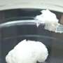 Q&A: How jellyfish bycatch could be a valuable collagen source for cosmetics and biotech