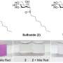 How sulfur oxidation states shape the behavior of sugar-based surfactant molecules
