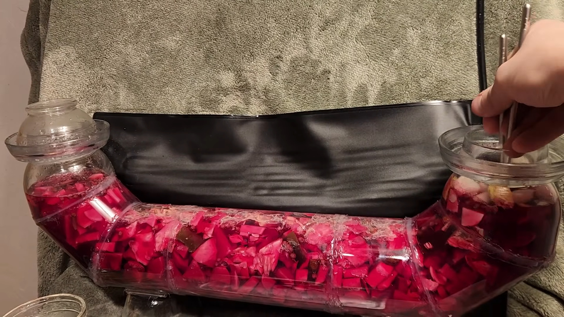 Hacking Fermentation for Infinite Pickles from Pass-thru Bioreactor