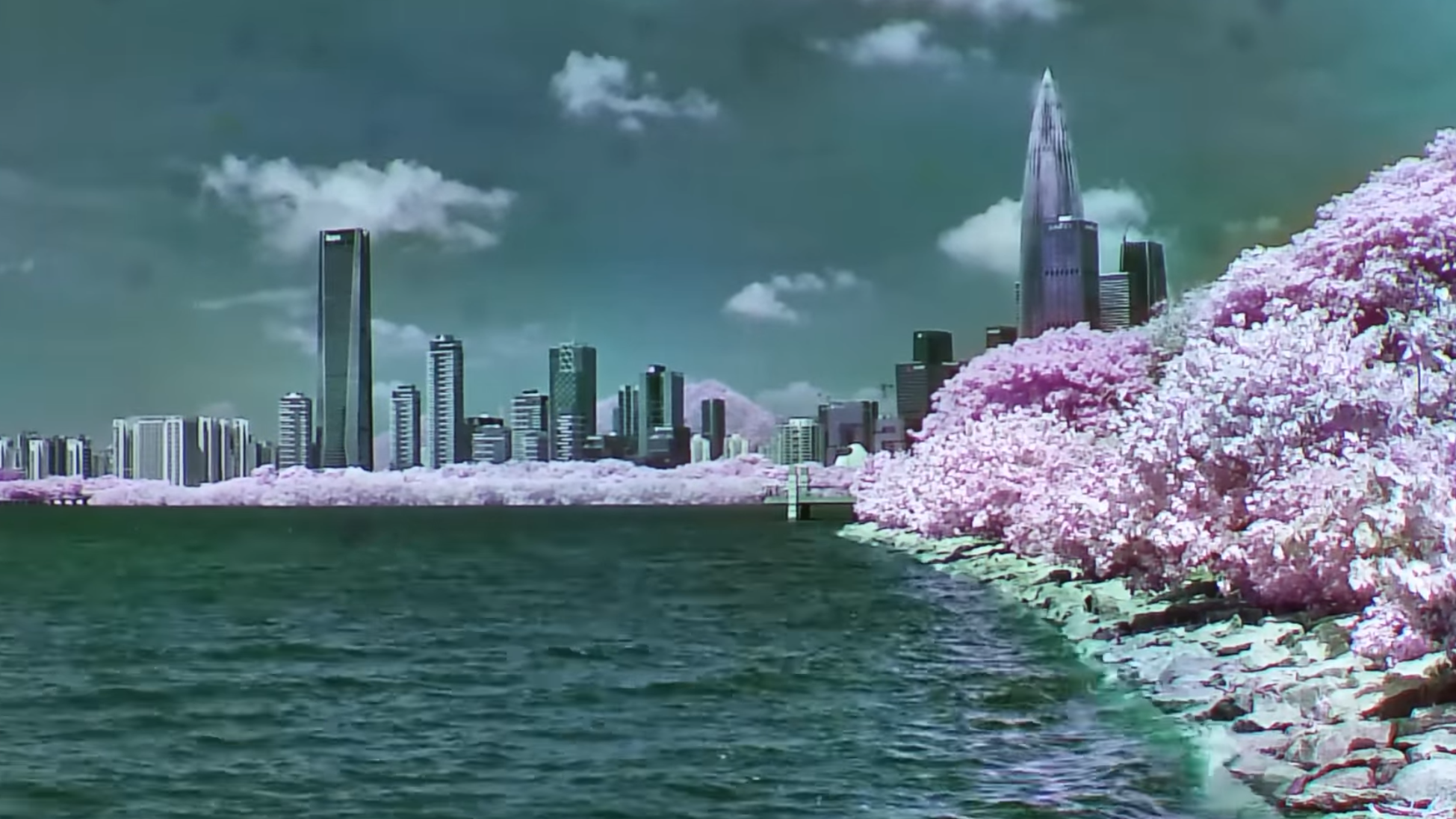 Taking Tri-Camera True-Color Infrared Videos