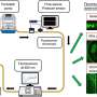 Shear flow in narrow channels sparks amyloid formation, experiments reveal