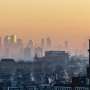 After 80 years, elusive molecules reveal how ozone starts turning plant emissions into haze