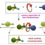 Recoverable molecular helper guides synthesis of highly pure chiral rotaxanes