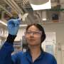 Butterfly-inspired crystals could enable durable, potentially safer glitter