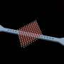 Physicists create hybrid light-matter particles that interact strongly enough to compute
