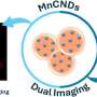 Manganese-doped carbon nanodots could rival existing MRI contrast agents