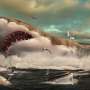 Megalodon's legendary life revealed by fossil rediscovery