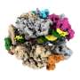 Messy life-producing cellular process caught in action for first time