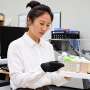 Modified lentil protein mimics fat in non-fat yogurt