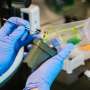 Chloroplast study reveals molecular lock that helps power life on Earth