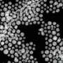 Sparse layers of 10-nanometer silver particles boost CO production from CO₂