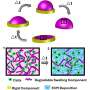 New 4D biofabrication technology holds promise for tissue engineering, wound healing