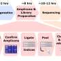 New genomic method to track disease outbreaks globally