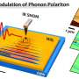 Femtosecond nano-imaging reveals ultrafast optical control of phonon polaritons