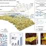 New membrane accelerates purification of industrial solvents