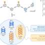 Synthetic molecules self-assemble into triple helices with new control method