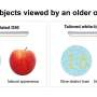 Computational model guides lighting design to improve color discrimination in aging eyes