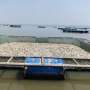 New sensors capture warning signs before fish deaths in Lake Victoria