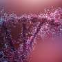 New workflow tool gives scientists a clearer view of how DNA is regulated