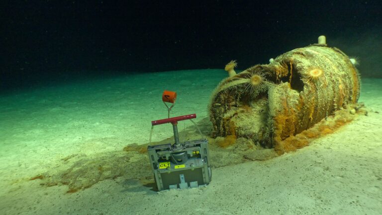 The Low-Level Waste Dumps in The Atlantic Have Become Ecosystems