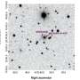 Observations investigate the nature of a peculiar supernova